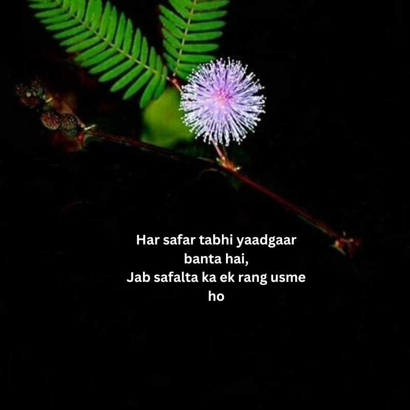 Inspiring shayari in english for success12