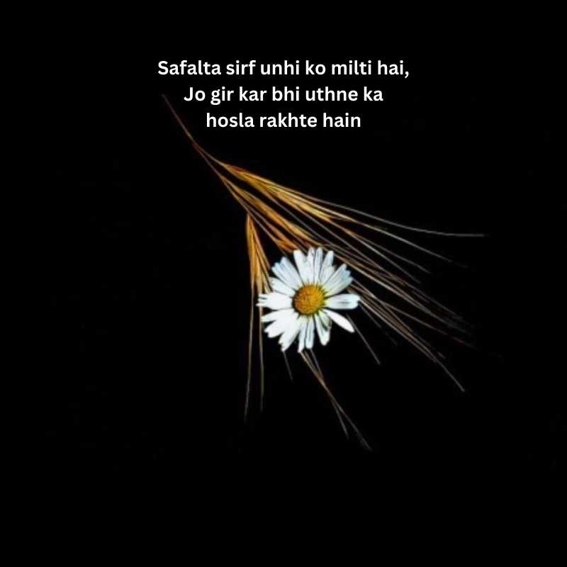 Inspiring shayari in english for success3