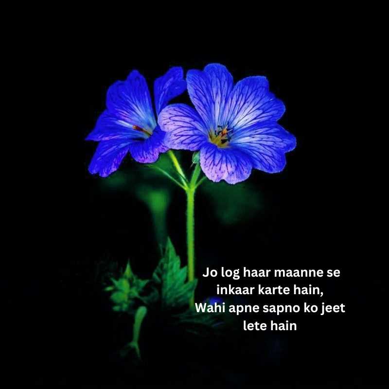 Inspiring shayari in english for success8