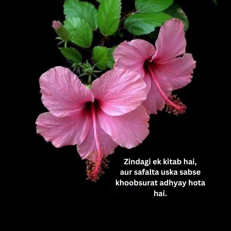 Inspiring shayari in english for success9