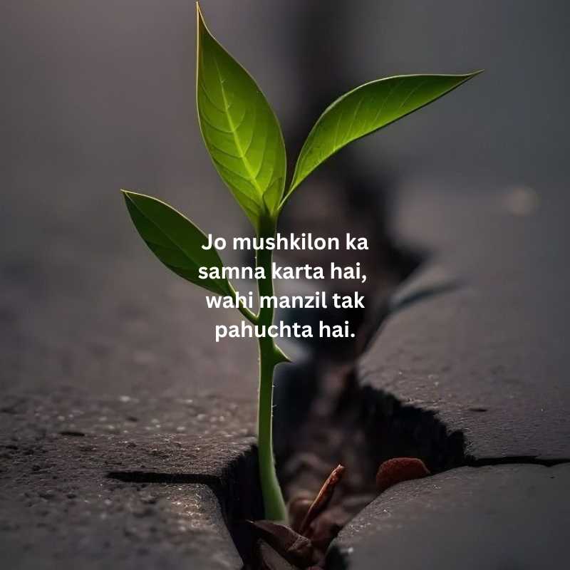 Success shayari in english hindi for students6