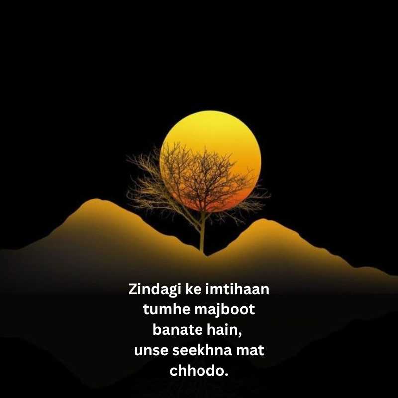 Success shayari in english hindi for students7