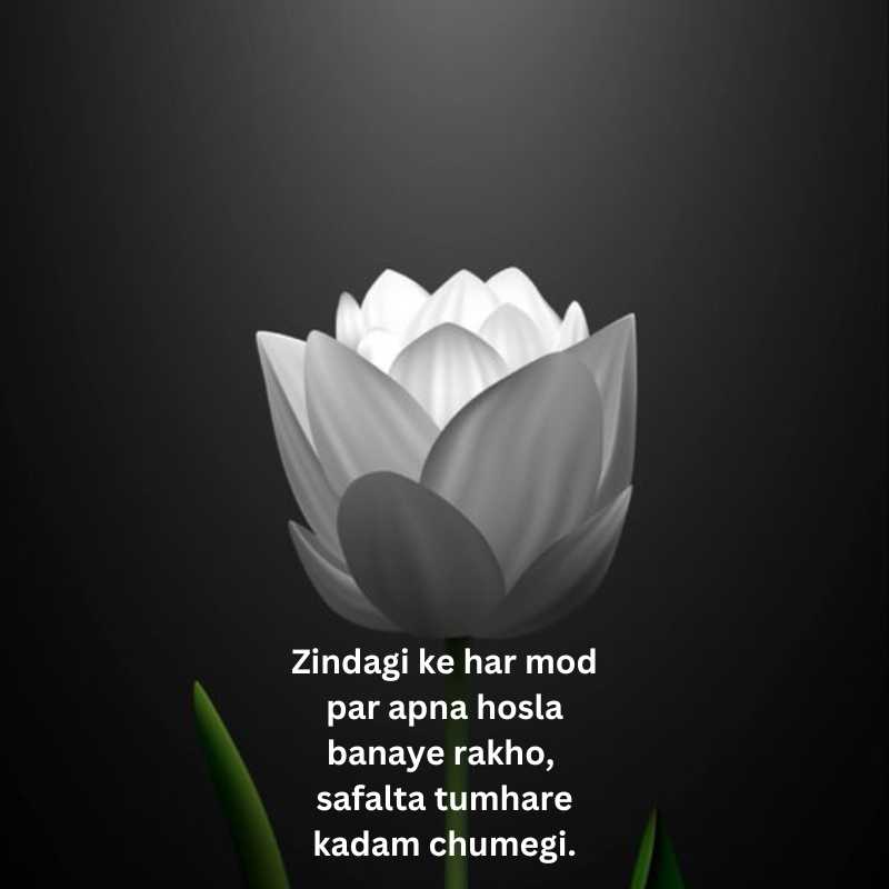 Success shayari in english hindi for students9