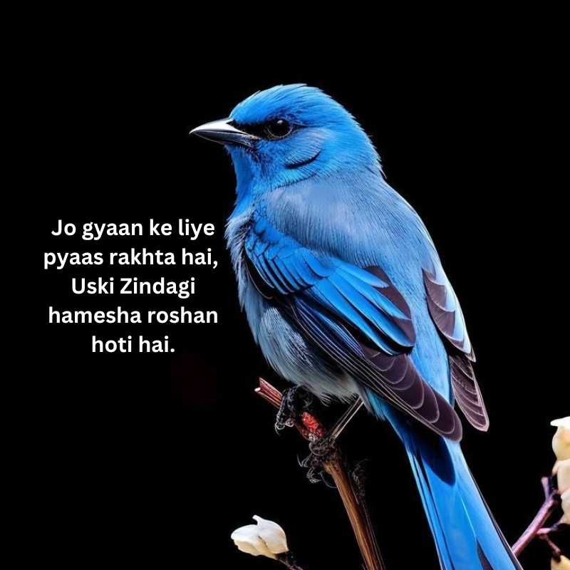 education thought in hindi and english12