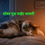 dosti good night shayari दोस्त गुड नाईट शायरी हैं